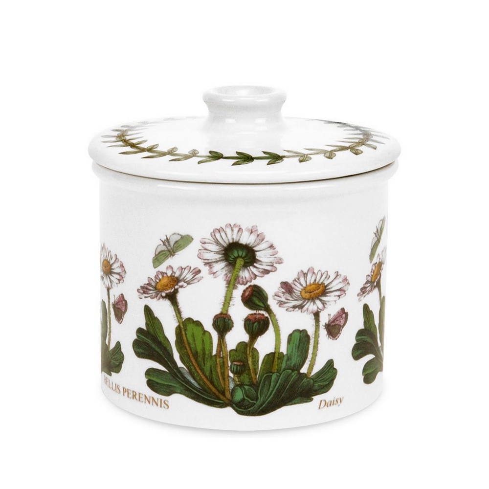 BOTANIC GARDEN - AZUCARERA (R), 02315, PORTMEIRION