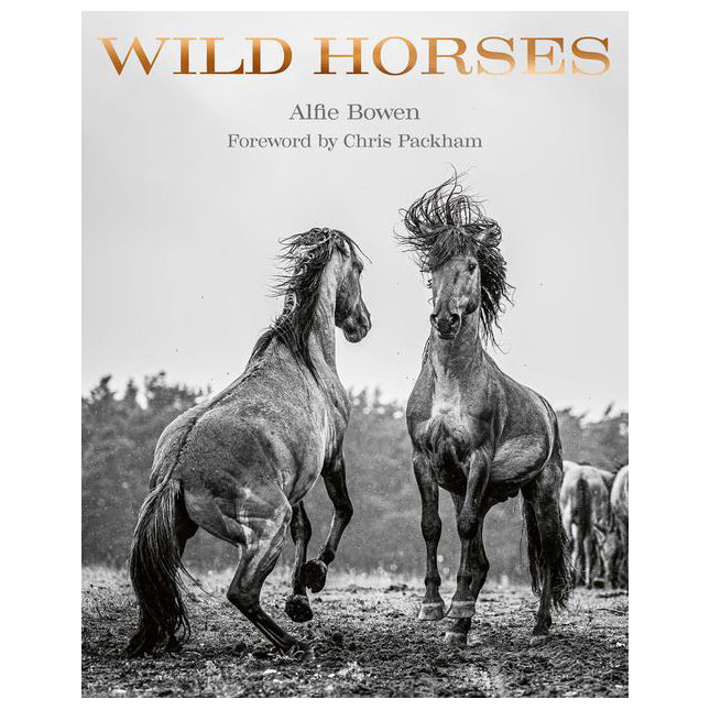 OTROS -  
WILD HORSES, AC1405, NEW MAGS