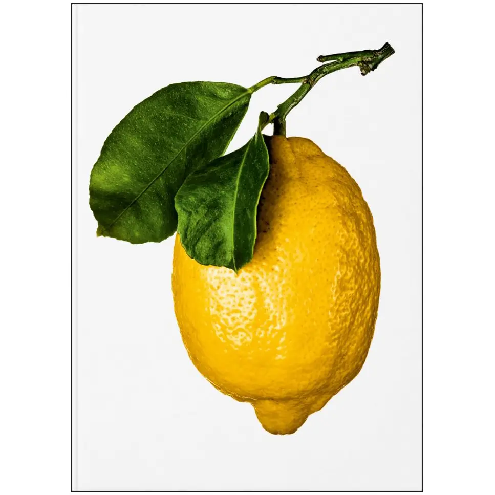 COCINA Y BAR - THE GOURMAND'S LEMON A COLLECTION OF STORIES AND RECIPES, TA1696, NEW MAGS