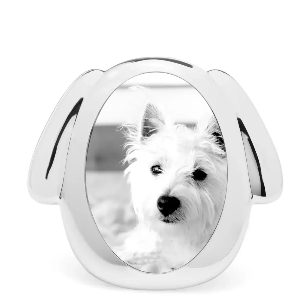 PET CUADRO PERRO 3X5,MT1439, NAMBE