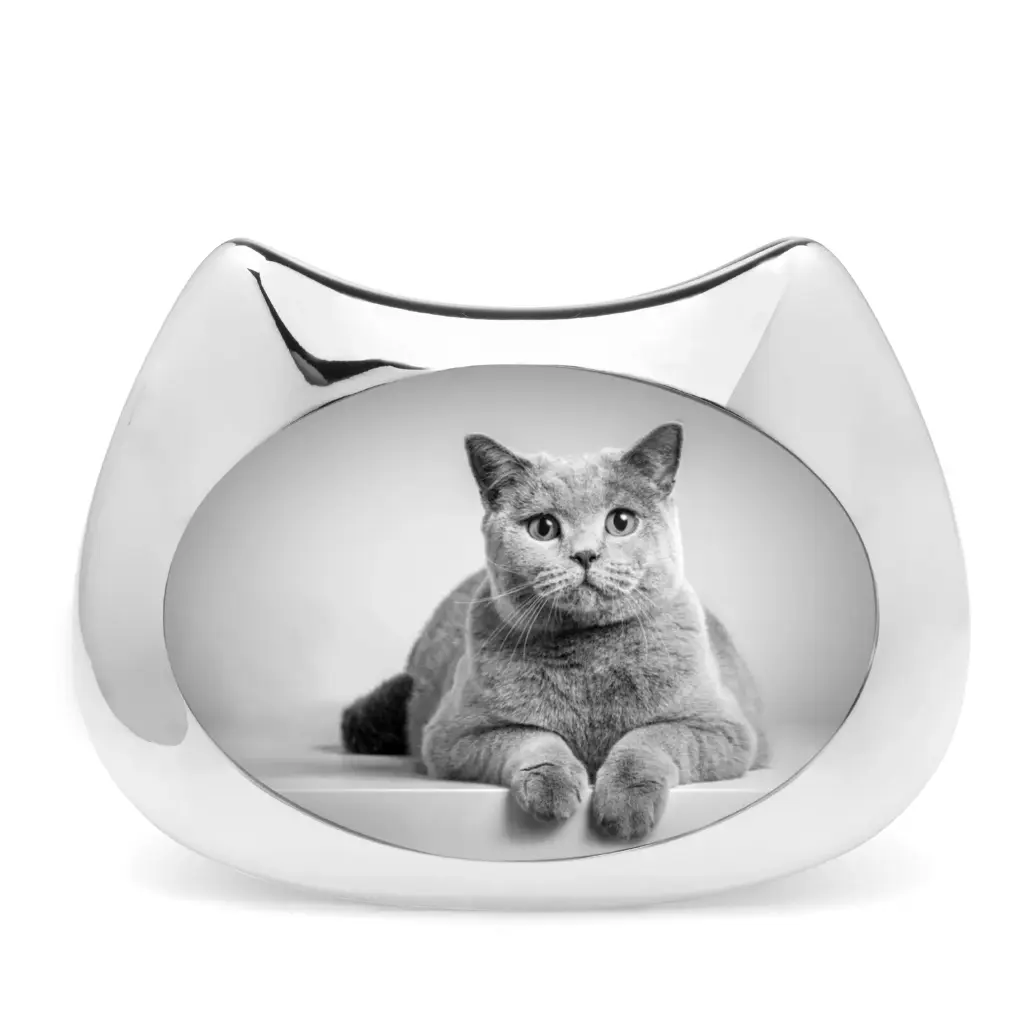 PET CUADRO GATO 3X5,MT1438, NAMBE