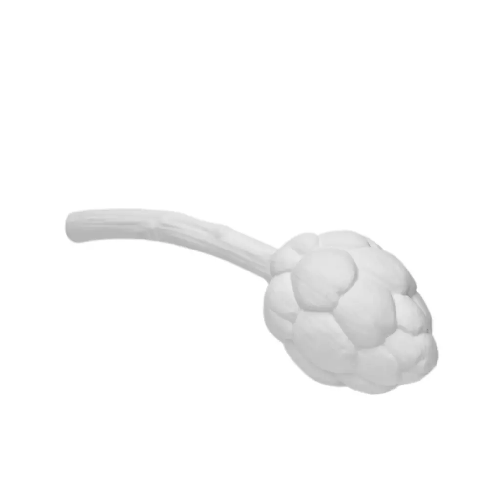 FRUCTUS ALCACHOFA BLANCA, K1381, KLATT OBJECTS