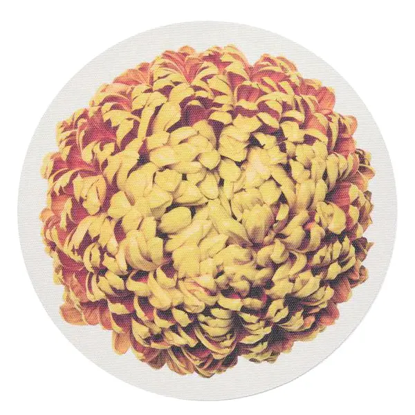 MUMS AMBER INDIVIDUAL, 101165-001, CHILEWICH
