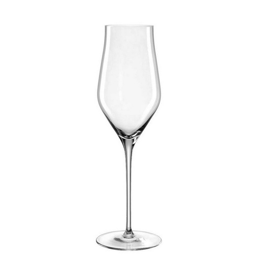 [1030100001] BRUNELLI - COPA CHAMPAGNE 066408, LEONARDO, 066408