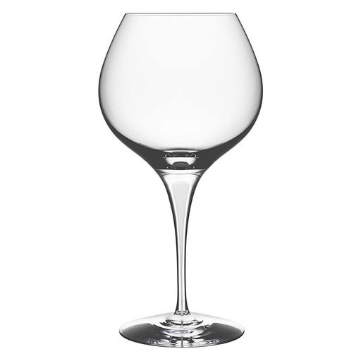 [1030230008] INTERMEZZO SATIN - COPA GIN 6577461, ORREFORS, 6577461