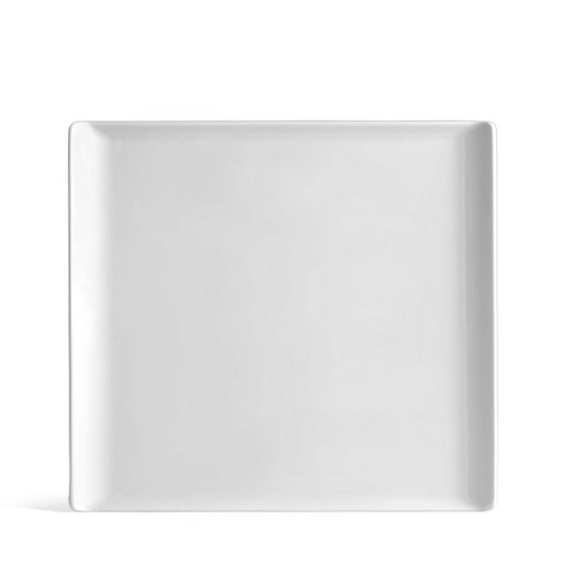 [1010200014] MESH - FUENTE RECT.26X24, CM  12379, ROSENTHAL, NONE