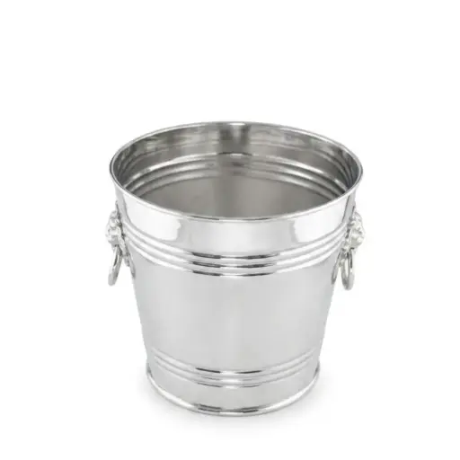 [1050060016] BALDE CHAMPAGNE PLAQUE ASA LEON 390L