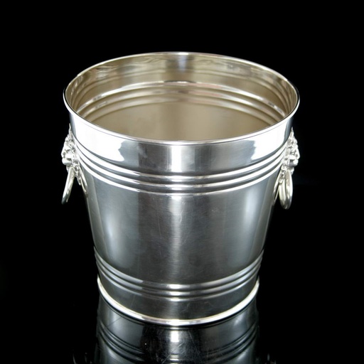 [1050060016] BALDE CHAMPAGNE PLAQUE ASA LEON 390L