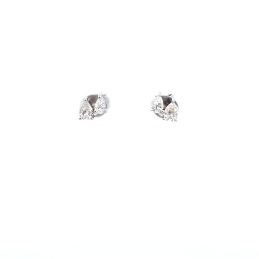 [1060020002] ARETE B  BR:0.65  GR:1.69, AE2811, ARIAMA, AE2811