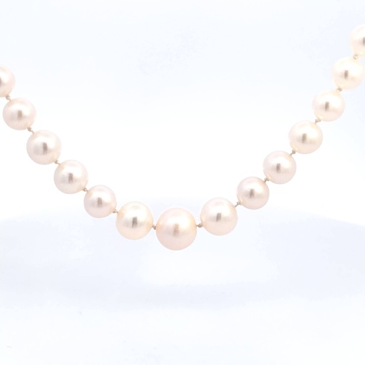 [1060040031] COLLAR A PERLA DEGRADE, 0.9GR