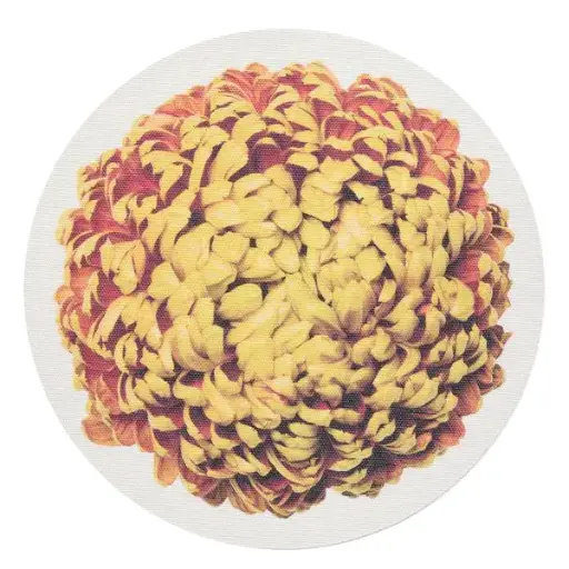 [1270460001] MUMS AMBER INDIVIDUAL, 101165-001, CHILEWICH, 101165-001