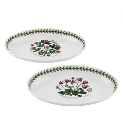 [1010720002] PLATO OVALADO S/2 597440, PORTMEIRION, 0