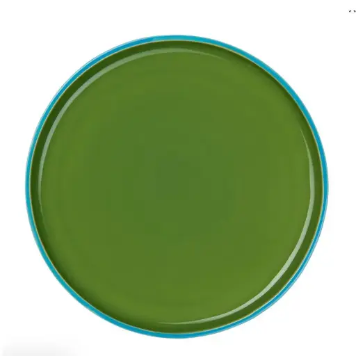 [1120030074] PLATOS Y FUENTES - TAPERO VIVA PLATO VERDE 24CM, 25161531, ASA SELECTION , 25161531